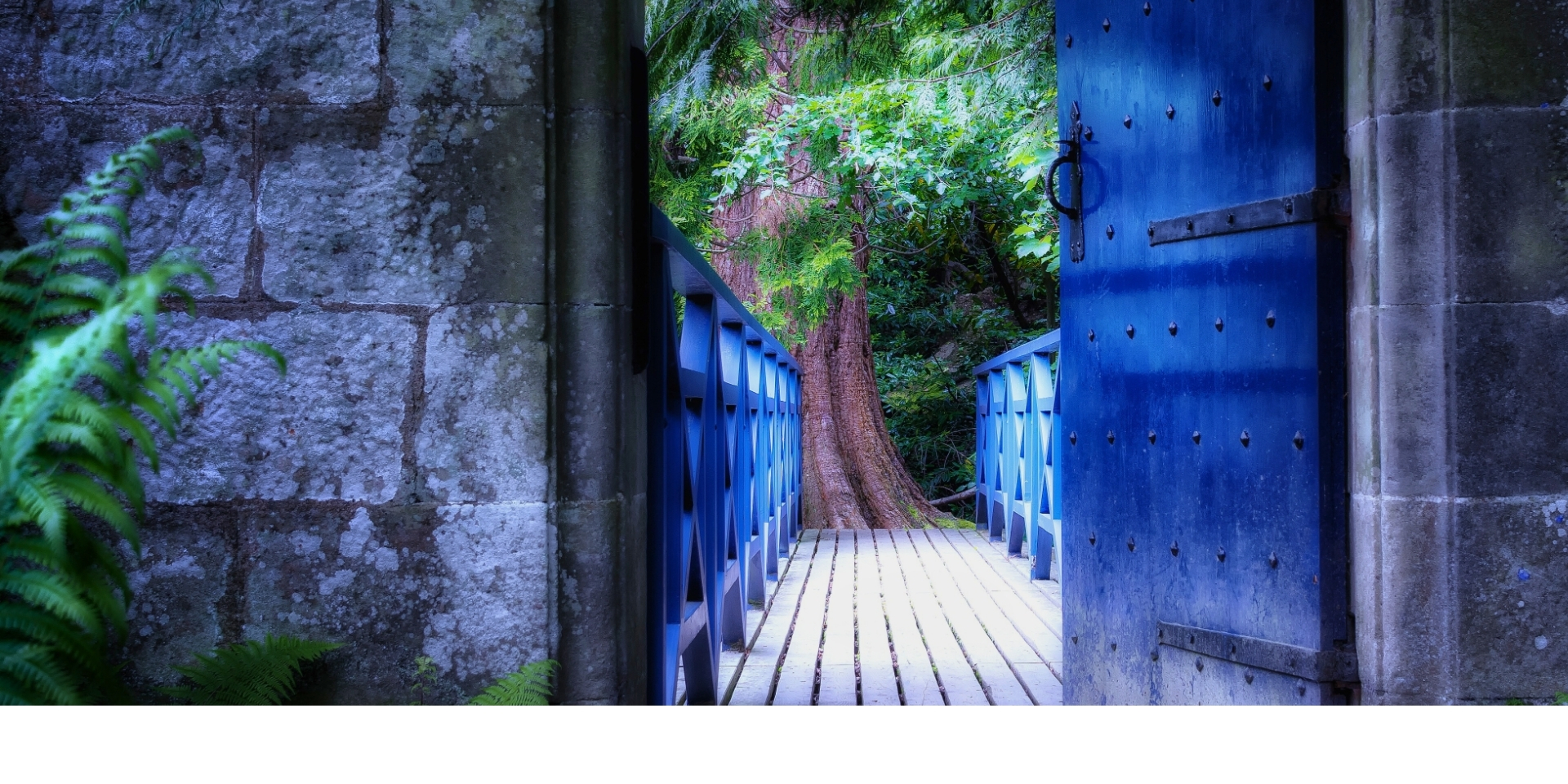 Terapia Gestalt.Olga Calvo. Psicologa online madrid y Valladolid. Gestión del estrés, emocional y desarrollo personal a través de la psicología integrativa. Gestalt. Diafreo. Psicologa especializada en reprocesamiento de experiencias limitantes a través de la estimulación bilateral, tapping y EFT. Cursos y sesiones online.