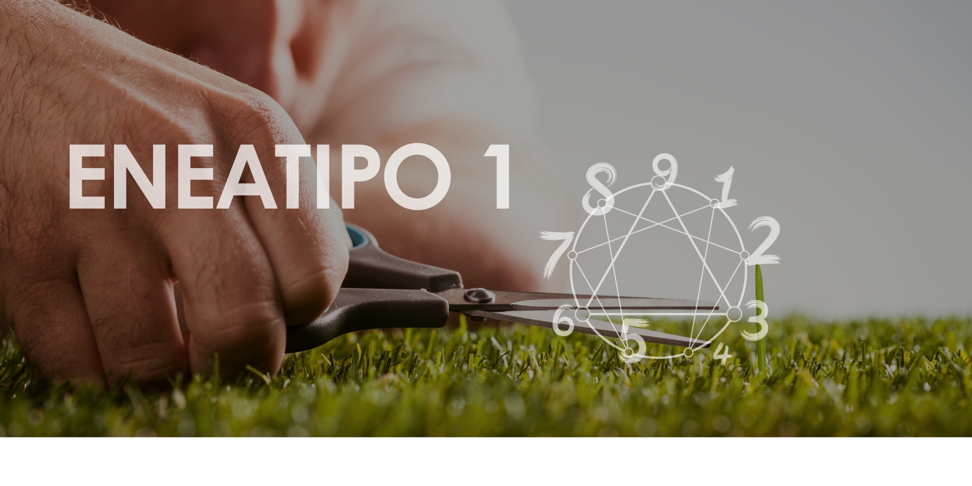 Eneagrama. Olga Calvo. Psicologa online madrid y Valladolid. Gestión del estrés, emocional y desarrollo personal a través de la psicología integrativa. Gestalt. Diafreo. Psicologa especializada en reprocesamiento de experiencias limitantes a través de la estimulación bilateral, tapping y EFT. Cursos y sesiones online.