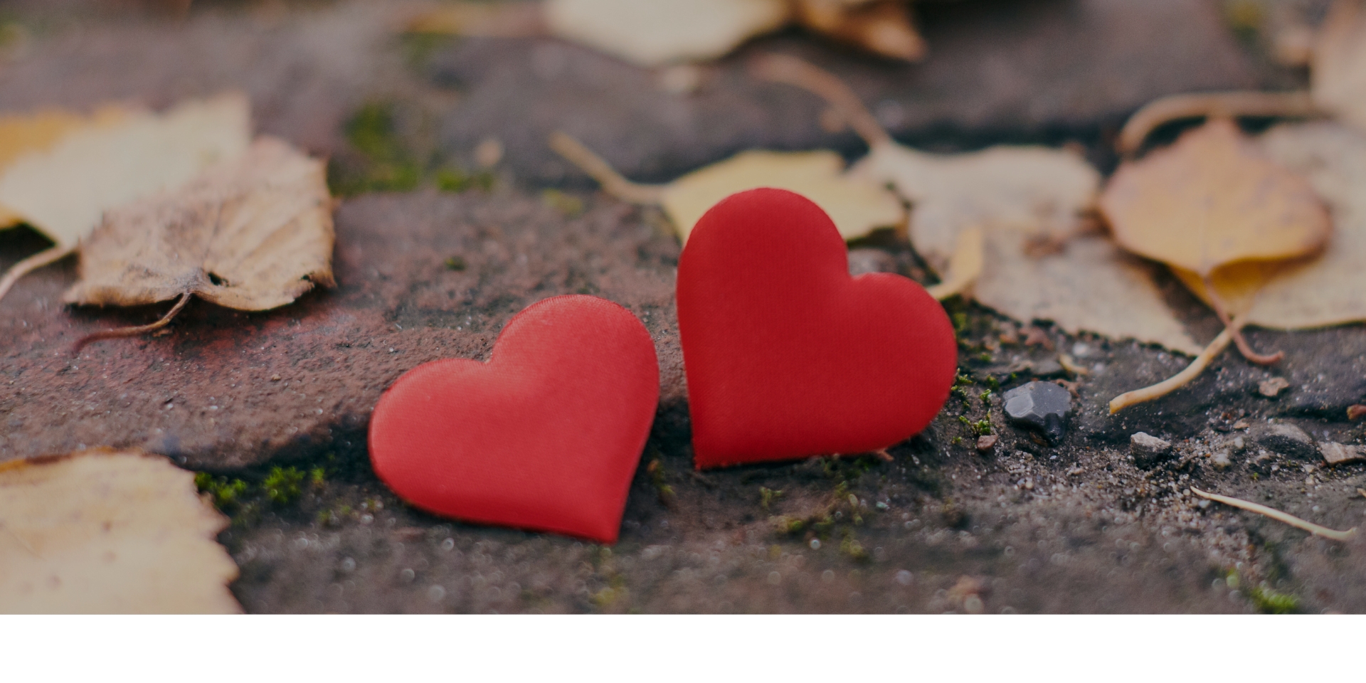 Comunicación consciente no violenta. Olga Calvo. Psicologa online madrid y Valladolid. Gestión del estrés, emocional y desarrollo personal a través de la psicología integrativa. Gestalt. Diafreo. Psicologa especializada en reprocesamiento de experiencias limitantes a través de la estimulación bilateral, tapping y EFT. Cursos y sesiones online.